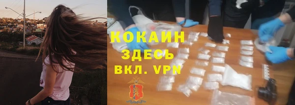 тгк Алексин