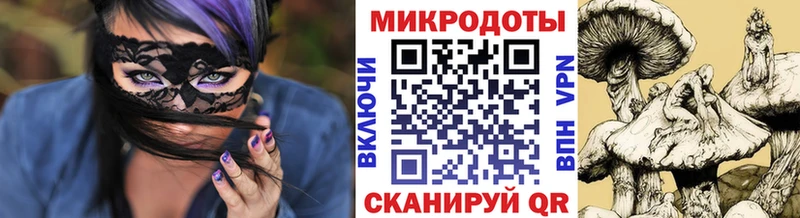 Псилоцибиновые грибы Cubensis  Северская 